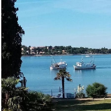 Apartment Villa Angelina, 70M From The Beach, Free Parking Novigrad Istria Eksteriør bilde