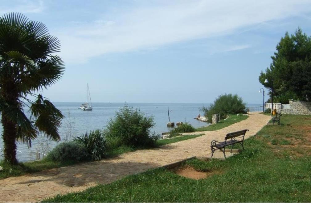 Apartment Villa Angelina, 70M From The Beach, Free Parking Novigrad Istria Eksteriør bilde