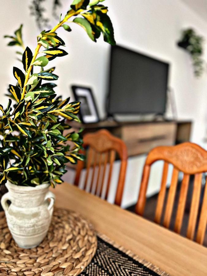 Apartment Villa Angelina, 70M From The Beach, Free Parking Novigrad Istria Eksteriør bilde