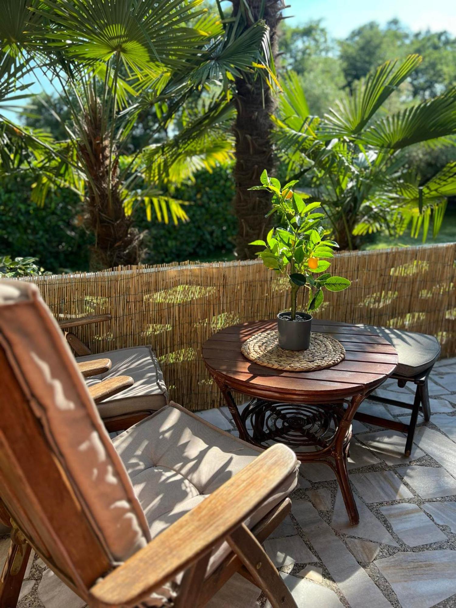 Apartment Villa Angelina, 70M From The Beach, Free Parking Novigrad Istria Eksteriør bilde