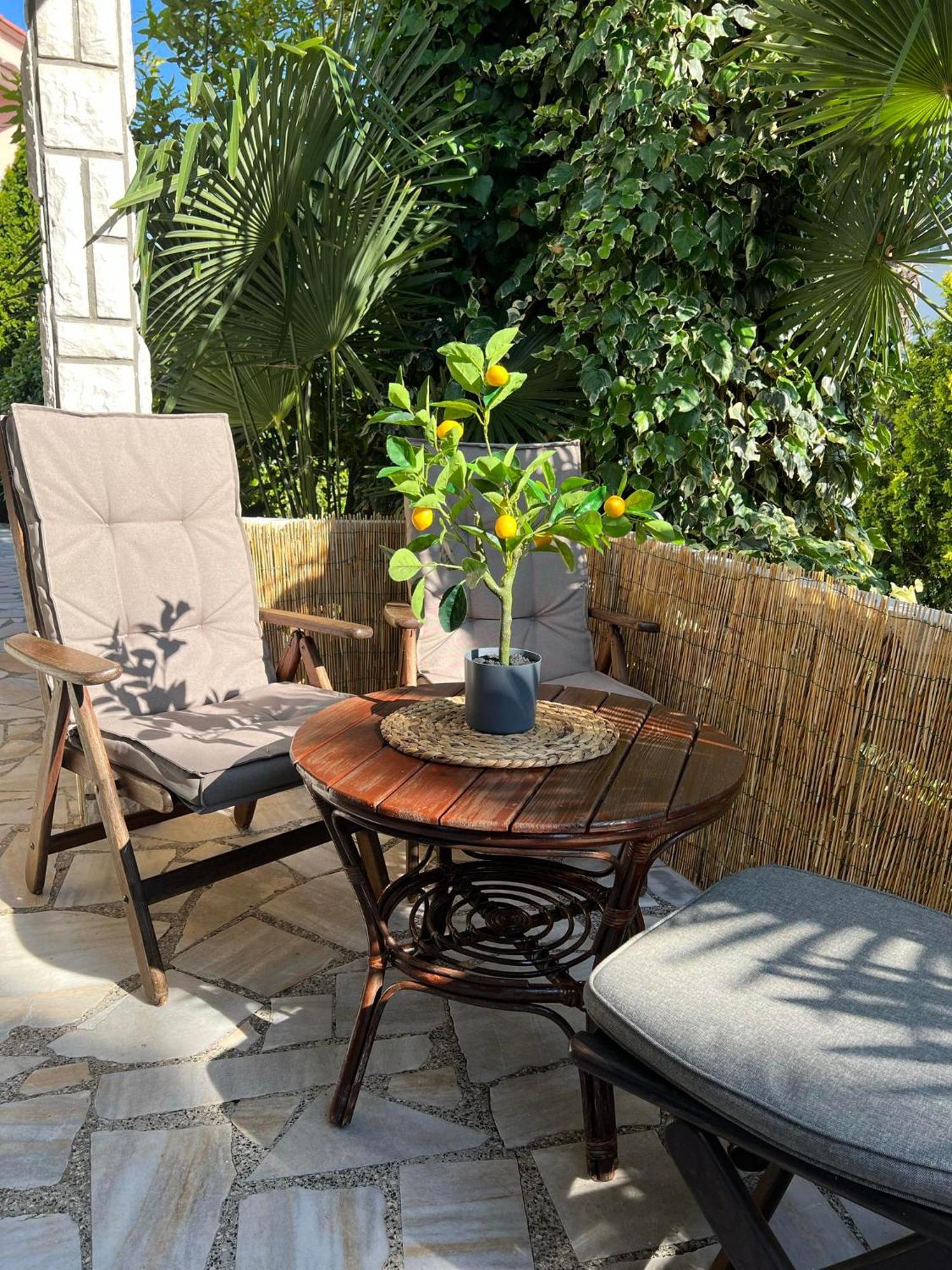 Apartment Villa Angelina, 70M From The Beach, Free Parking Novigrad Istria Eksteriør bilde