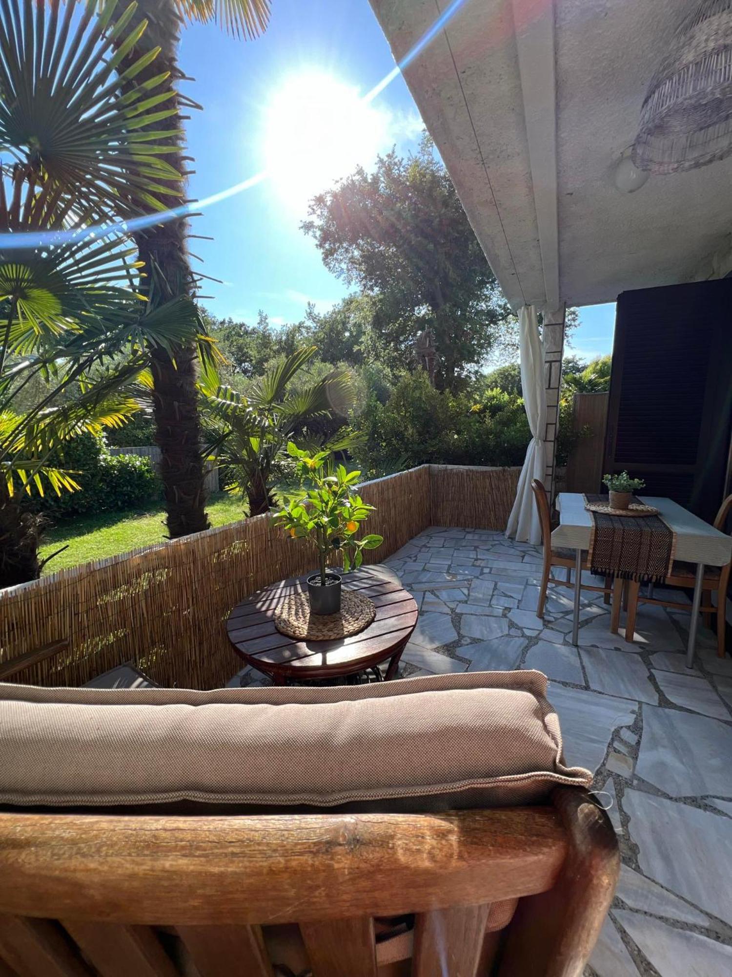 Apartment Villa Angelina, 70M From The Beach, Free Parking Novigrad Istria Eksteriør bilde